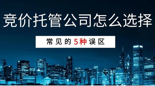 sem竞价托管公司