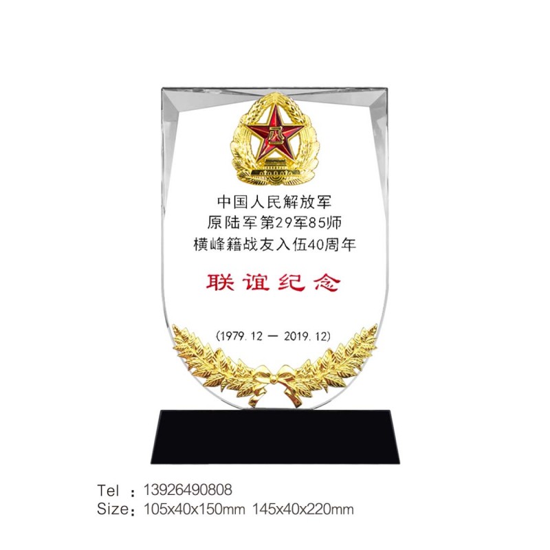 新贴麦穗奖牌-战友联谊纪念