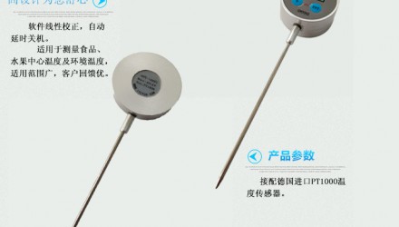 CYBT-6手持式中心温度计
