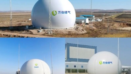 大白球双膜储气柜WD68