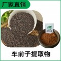 森冉生物 车前子提取物 车前实提取物 比例提取原料粉