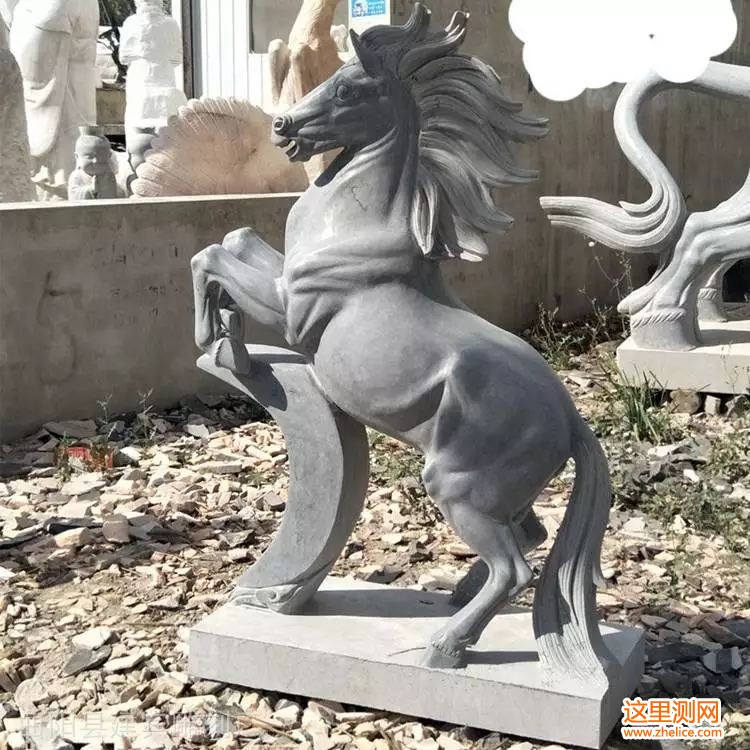 5_559_1976322_750_750.jpg.webp_副本